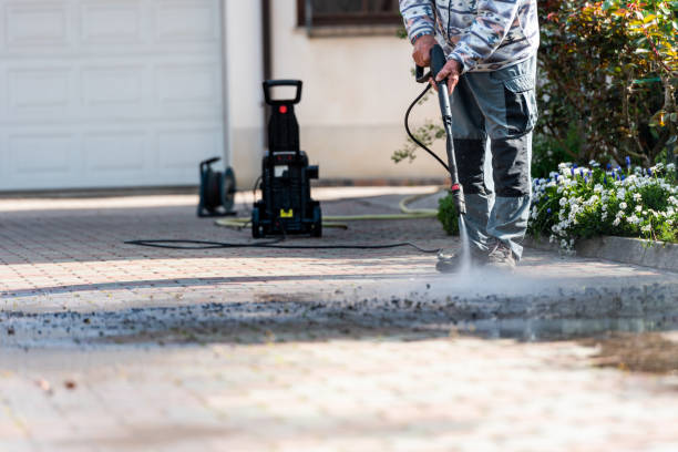 Best Roof Pressure Washing  in Brinkley, AR