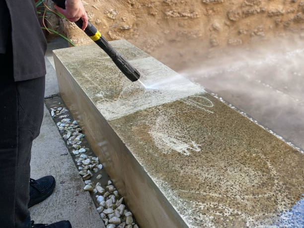 Best Residential Pressure Washing Services  in Brinkley, AR