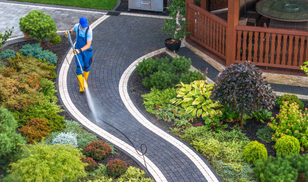 Best Sidewalk Pressure Washing  in Brinkley, AR